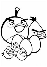 Angry Birds73