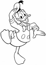 Donald Duck50